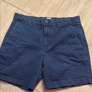 GAP Blue Flat Front Chino Shorts